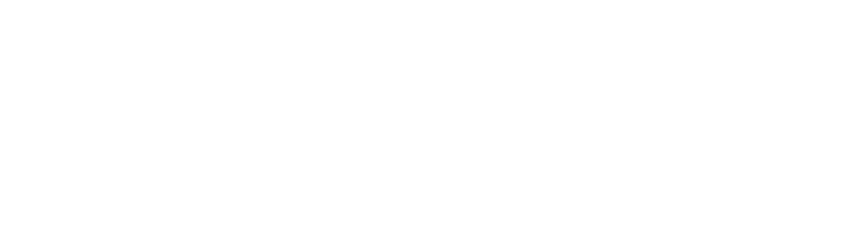 JANUS Sicherheitsdienst GmbH
